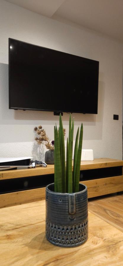 Betty Borik - Whole Ground Floor Appartamento *